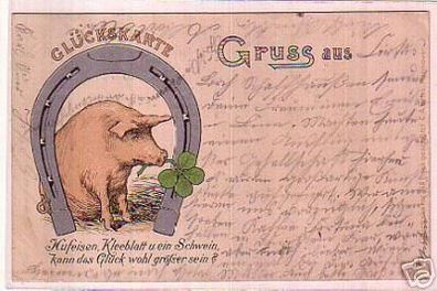 00586 Ak Glückskarte mit Hufeisen, Schwein usw. 1899