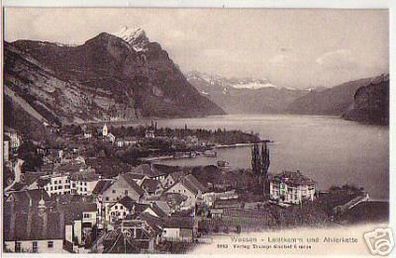 04296 Ak Schweiz Weesen Leistkamm und Alvierkette 1910