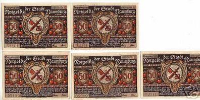 5 Banknoten Notgeld der Stadt Naumburg 1920