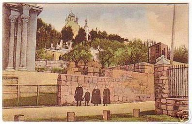 05090 Ak Jerusalem Garten Gethsemane um 1920