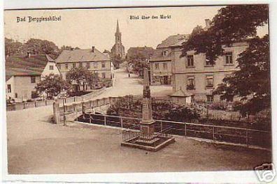 06206 Ak Bad Berggiesshübel Blick über den Markt 1919
