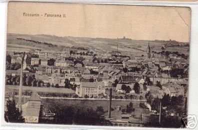 09490 Ak Rosswein Panorama Blick um 1910