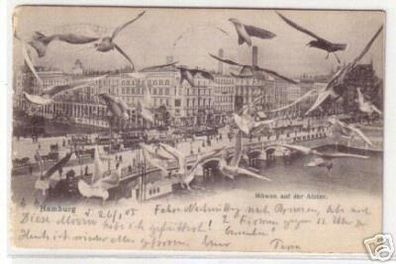 07599 Ak Hamburg Möwen auf der Alster 1905