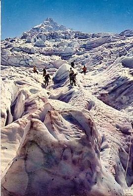 Schweiz 1976 - Chamonix-Mont-Blanc Alpinisme, AK 101 Ansichtskarte Postkarte