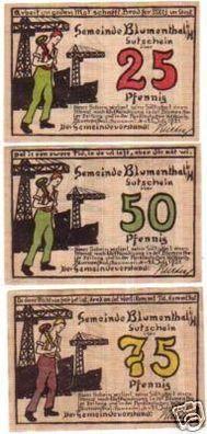 3 Banknoten Notgeld der Gemeinde Blumenthal i.H. 1921