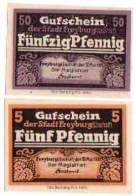 2 Banknoten Notgeld der Freyburg a.U. 1920