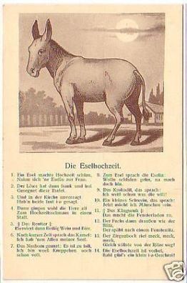 04892 Humor Ak Reim "Die Eselhochzeit" um 1930