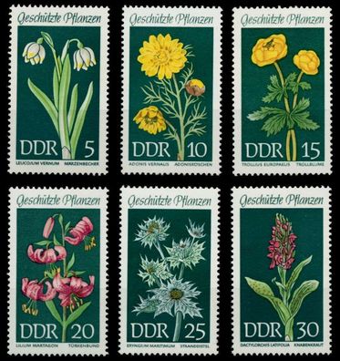 DDR 1969 Nr 1456-1461 postfrisch S016692