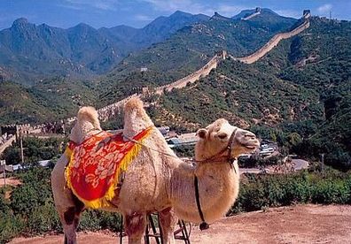 China 1994 - Scenery of the Great Wall at Badaling, AK 483 Ansichtskarte Postkarte