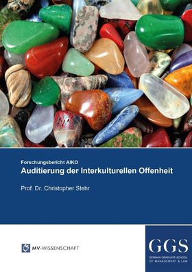 Auditierung der Interkulturellen Offenheit, Christopher Stehr