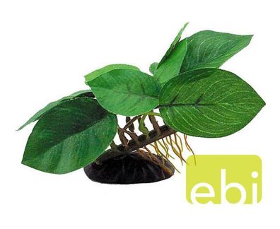 Europet Bernina 242-109502 künstliche Pflanze - anubias berter - 13cm -