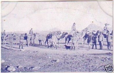 21283 Ak deutsche Kolonie DSWA Kamel Transport um 1905