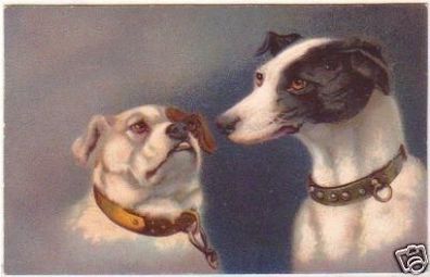 21475 Ak Lithographie zwei Hund Wenau Delila um 1910