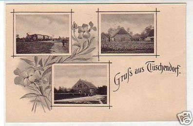 21889 Mehrbild Ak Gruß aus Tüschendorf um 1910