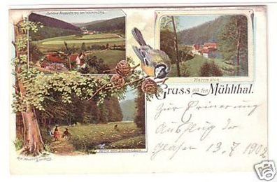 23187 Mehrbild Ak Gruss aus dem Mühlthal um 1900