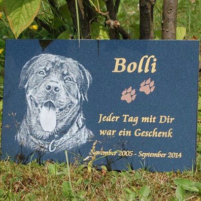 GRABSTEIN Tiergrabstein Gedenkstein Hunde Hund-020 ► Foto Gravur ◄ 50 x 30 cm 
