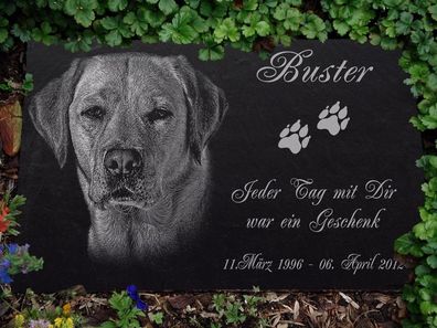 Labrador GRABSTEIN Tiergrabstein Gedenkstein Hund-034 ► Textgravur ◄ 20 x 20 cm 