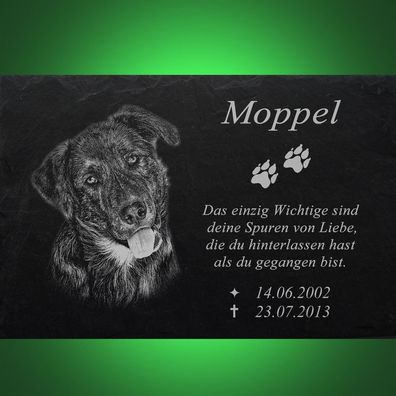 Hundegrabstein Tiergrabstein Grabmal Mischling Hund 043-Text Gravur- 50 x 30 cm