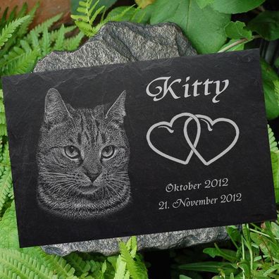 Tiergrabstein Grabstein Grabschmuck Katzen Katze-008 - Fotogravur - 20 x 15 cm