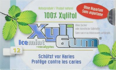 8x Xyli Gum Icemint Kaugummi 15,6g Naturprodukt Zahnheit glutenfrei -Vegan