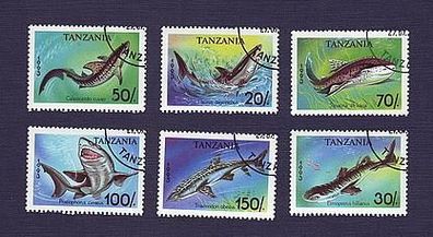 6 verschiedene Haie Tansania o