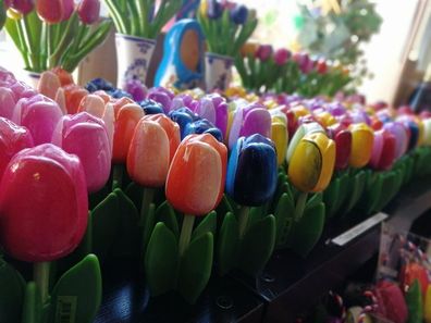 Holztulpen Tulpen 14 cm Geschenk stehend Wood Tulip versch. Farben Geburtstag