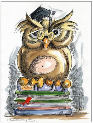 Klausewitz: Original Feder und Aquarell : Büchereule Book owl / 24x32 cm