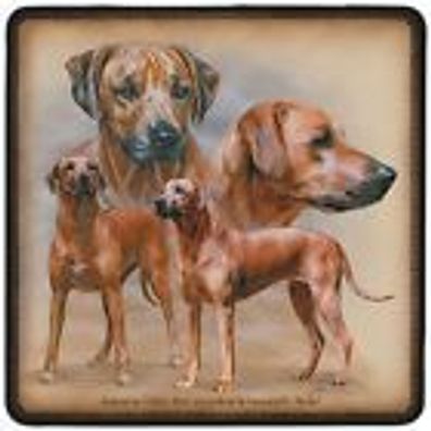 Kollektion Bötzel - 2er Set Untersetzer - Hundemotiv - Rhodesian Ridgeback - 23525