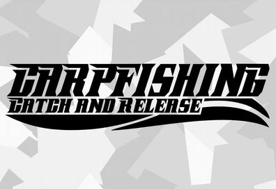1x Baits Carp Boilies Carp Sticker Fishing Bait Catch Hunter Rod Fish