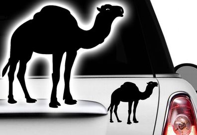 1x Aufkleber Kamel Camel Tier Dromedar Wüste Saharah Afrika Sticker Pyramiden