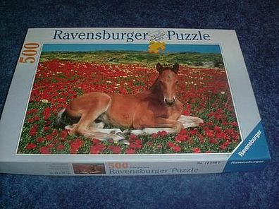Ravensburger Puzzle-500 Teile-Fohlen im Mohnfeld