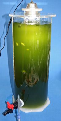 Planktonreaktor, Reaktor 6L oder 14 Liter für Plankton