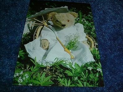 141/ Postkarte-Teddy im tollen Kleid