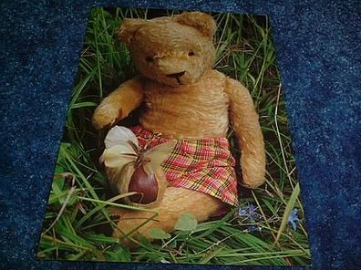 142/ Postkarte-Teddy mit Schmetterling