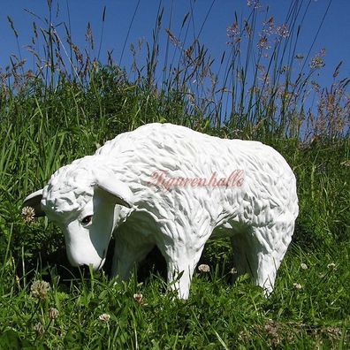 Schaf Dekofigur Aufstellfigur Gartenzwerg Deko Schäfer Schäfchen fressend