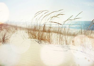 Vlies-Fototapete 148 - 200x140cm, Strand Tapete Strand Meer Beach Wasser Blau Himmel