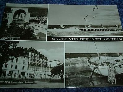 533/ Ansichtskarte-Gruss von der Insel Usedom