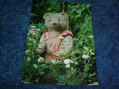 612/ Postkarte-Teddy im Garten