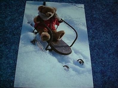 613/ Postkarte-Teddy auf Schlitten