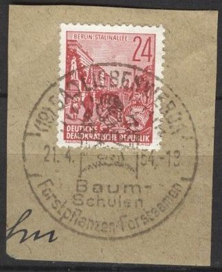 DDR SoStmpl Bad Liebenwerda 21.4.1954 Baumschulen, Forstpflanzen - Forstsamen Mi 414
