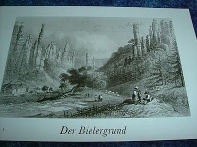 1295 / Ansichtskarte-Sächsische Schweiz-Bielergrund
