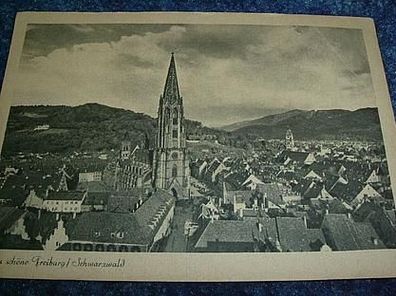 1344/ Ansichtskarte-Das schöne Freiburg/ Schwarzwald