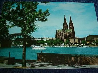 1351/ Ansichtskarte-Köln-Partie am Rhein