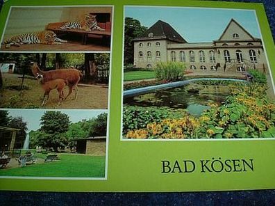 1482/ Ansichtskarte von Bad Kösen-