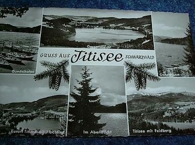 1722/ Ansichtskarte-Gruss aus Titisee/ Schwarzwald