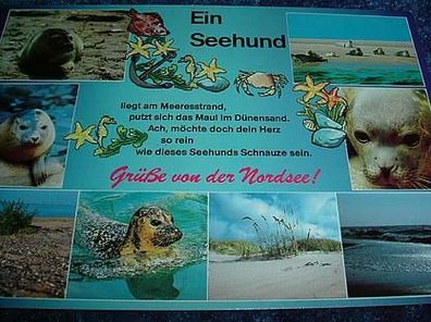 1765/ Ansichtskarte-Ein Seehund-Grüße von der Nordsee