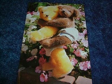 1869/ Postkarte-Teddy auf Schulter