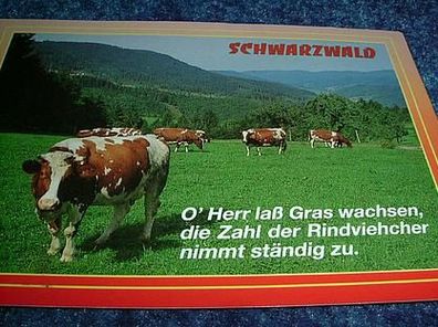 2167/ Ansichtskarte-Schöner Schwarzwald