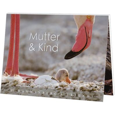 Postkartenbuch Mutter und Kind im Tierreich, Postkartenbücher Ansichtskarte Postkarte