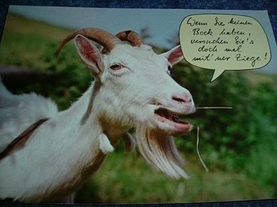 2634/ Postkarte mit Tiermotiv-Ziege